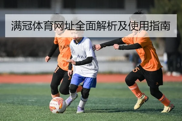 满冠体育网址全面解析及使用指南