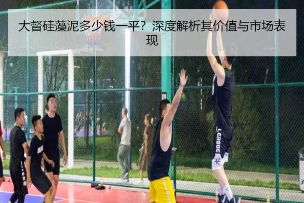 大督硅藻泥多少钱一平？深度解析其价值与市场表现