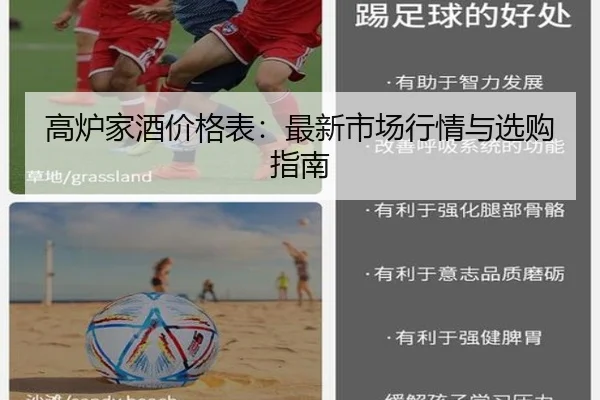高炉家酒价格表：最新市场行情与选购指南